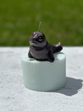 Baby Seal Mold