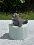 Baby Seal Mold