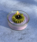 Sunflower Mold